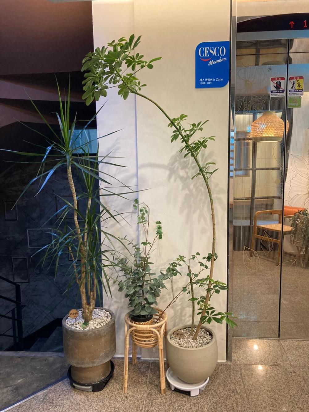 Hotel Less Seul Dış mekan fotoğraf